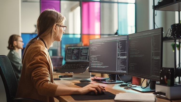 SDWAN for government
