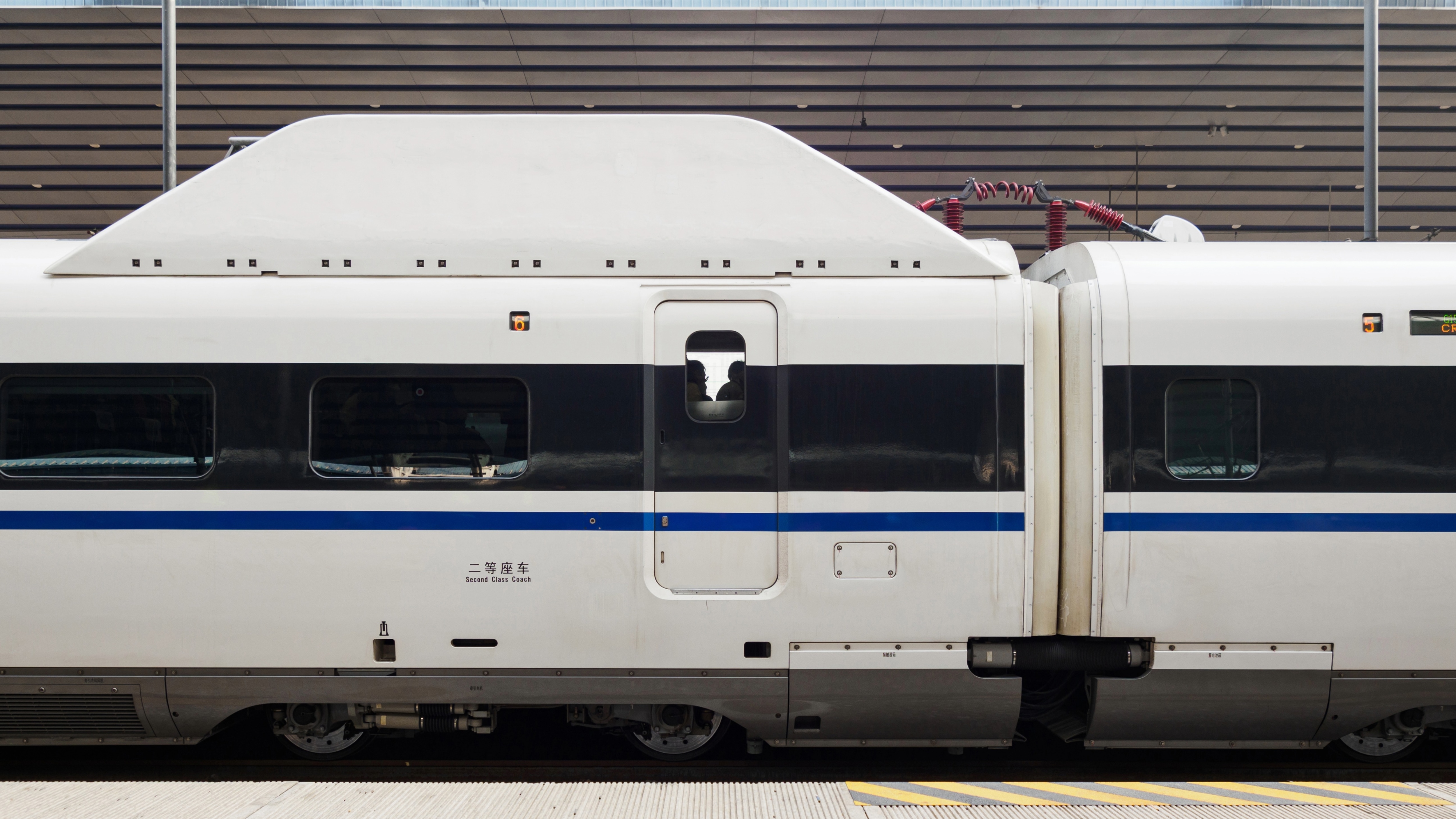 White train